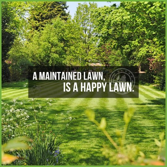 Copy of a maintained lawn is a happy lawn. (Instagram Post (Square))
